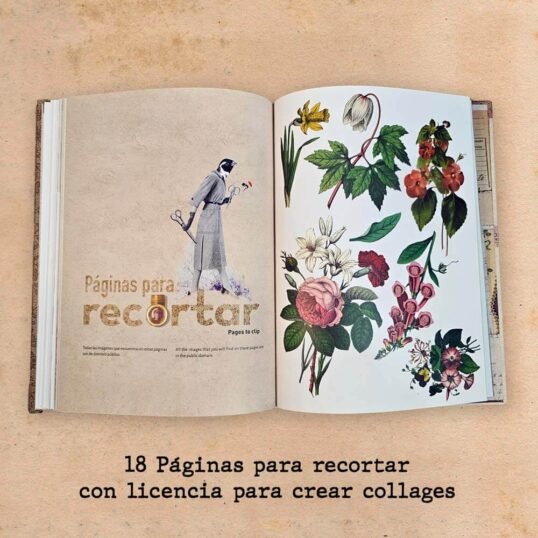 Libro ABC del collage