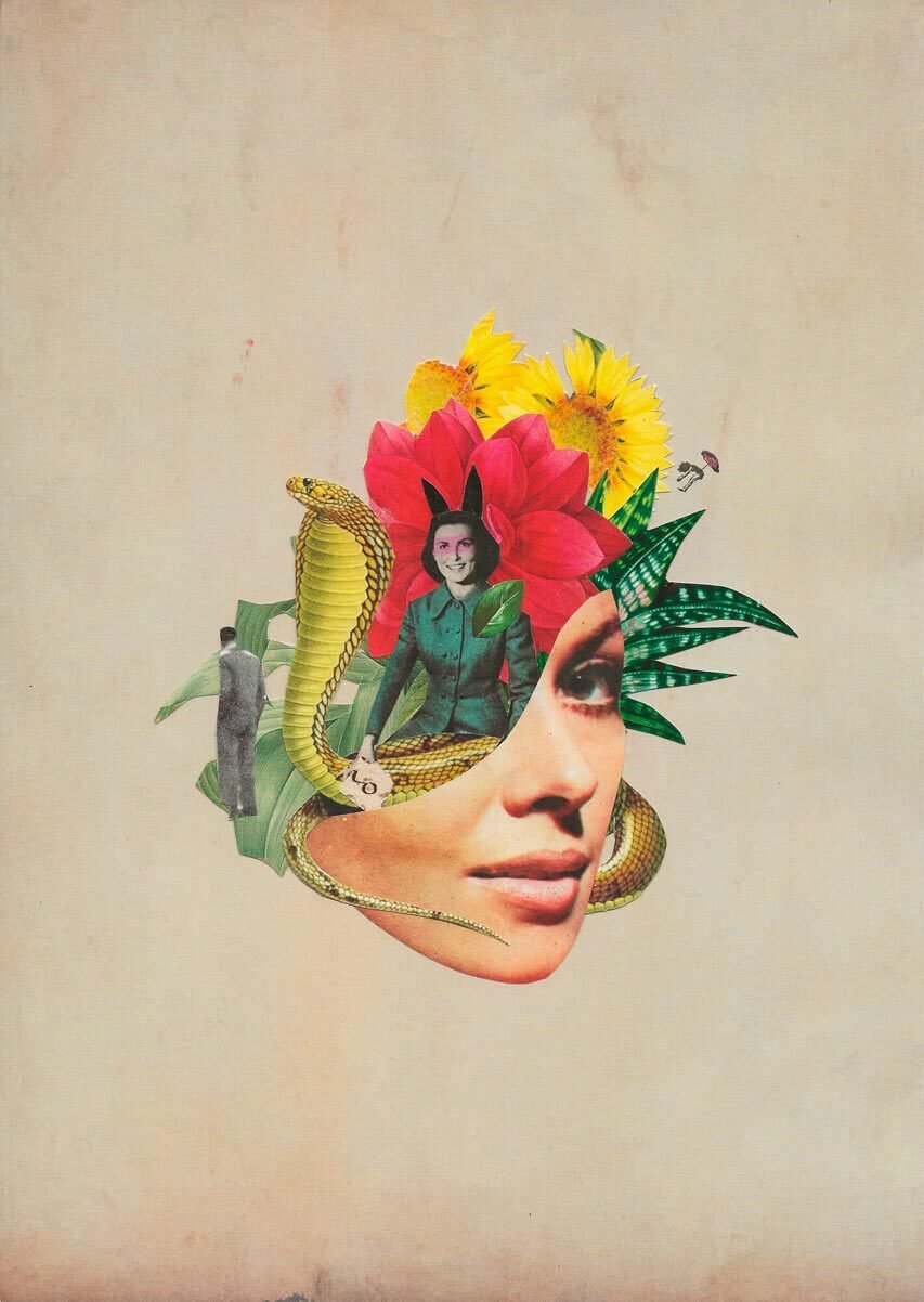 Ciclo de la Vida. Adriana Bermúdez