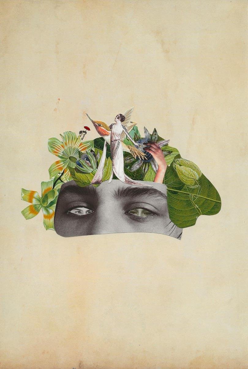 Te observo, collage de Adricollage