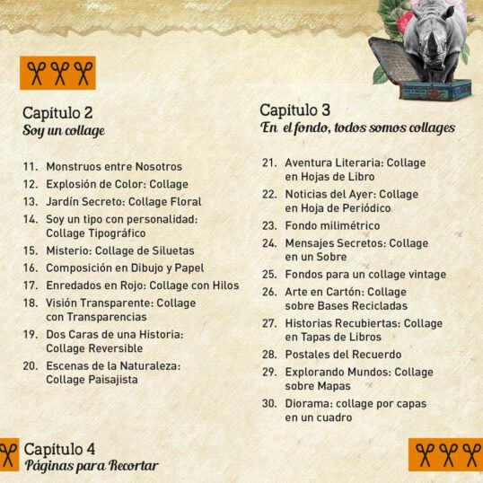 Libro 30 ejercicios de collage