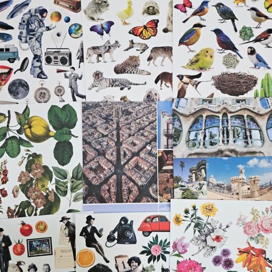 Carpeta "Recortando Barcelona"