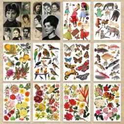 Tesoro de imágenes para artistas del collage: imagen 4