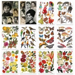 Tesoro de imágenes para artistas del collage: imagen 5