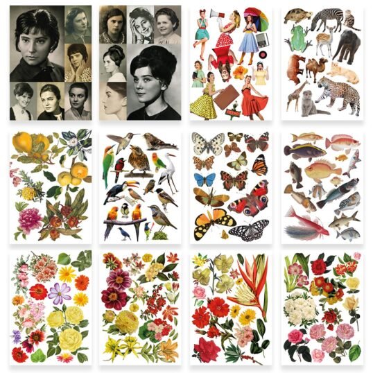 Tesoro de imágenes para artistas del collage