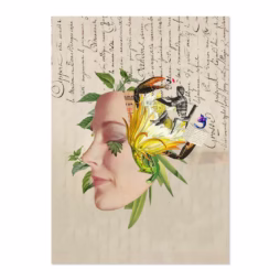 Sueños