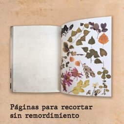 Libro Reto Collage: imagen 6