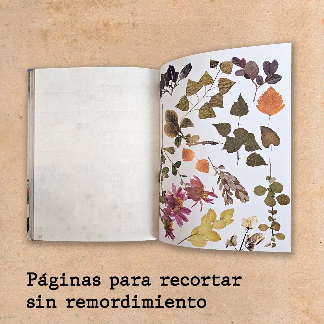 Libro Reto Collage - Imagen 5