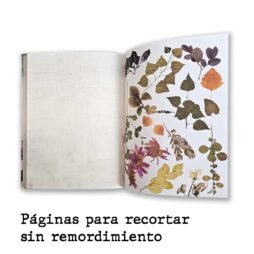 Libro Reto Collage: imagen 6