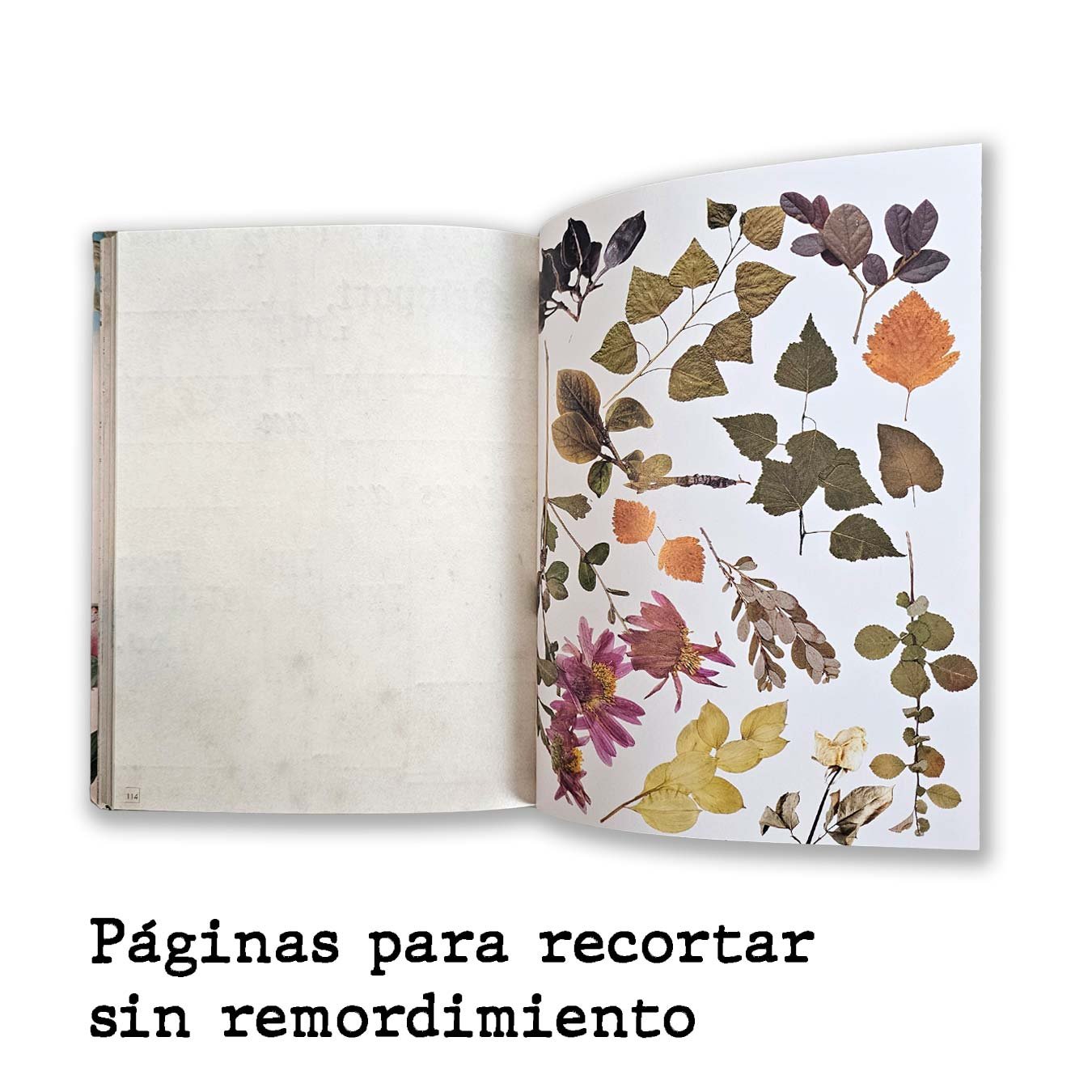Libro Reto Collage: imagen 6
