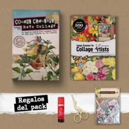 Pack Libros Reto collage y Tesoro de imágenes