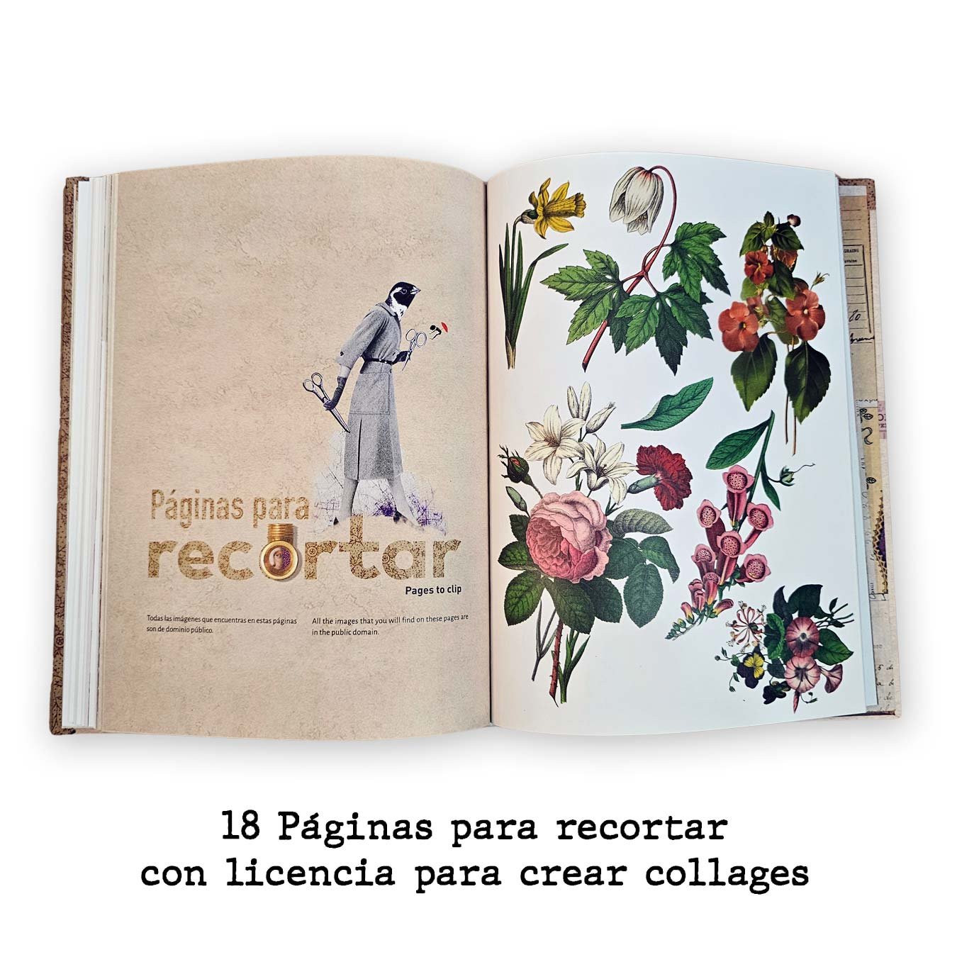 Libro ABC del collage - Imagen 6