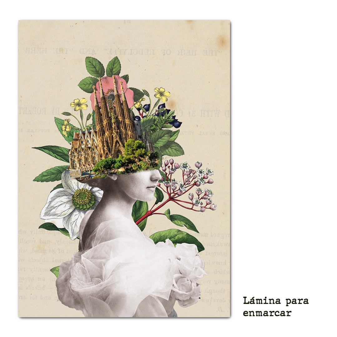 Lámina collage de Adriana Bermúdez